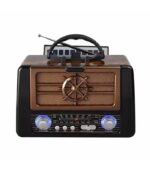 Golon Rechargeable Radio RX-8080BT - Image 2