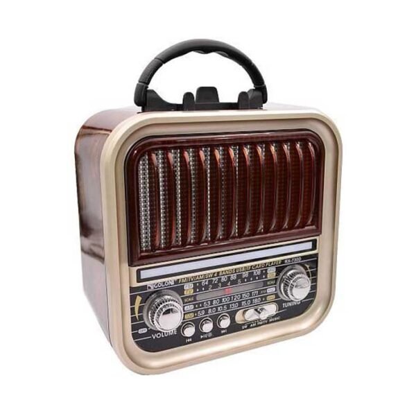 راديو جولون محمول RX-730D